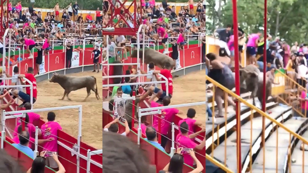 Stier springt in het publiek tijdens stierengevecht en verwondt 19 mensen
