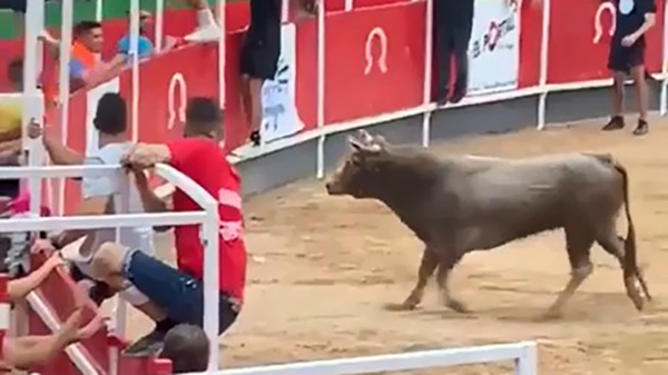 Stier springt in het publiek tijdens stierengevecht en verwondt 19 mensen