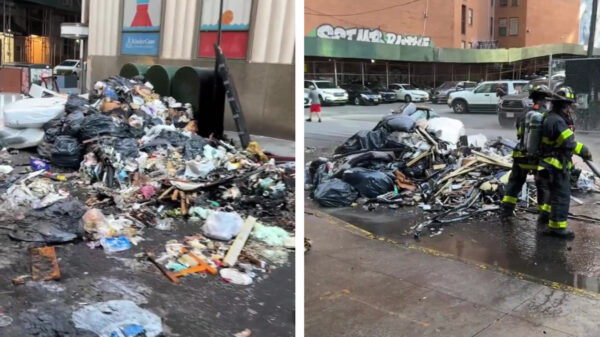 Even rondkijken in de totale pleuriszooi die New York heet