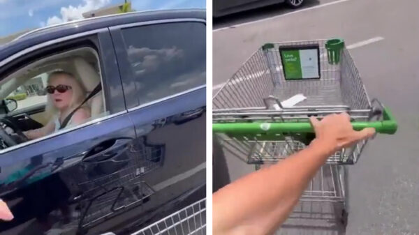 Zeg mevrouw,  zal ik uw karretje even voor u wegzetten?