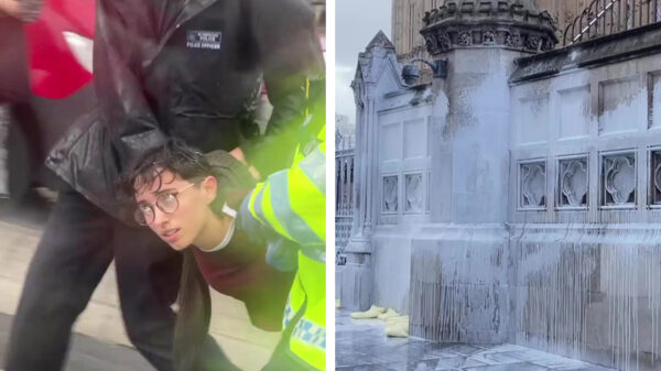 Harry Potter opgepakt als hij samen met Animal Rebellion de Big Ben bekladt