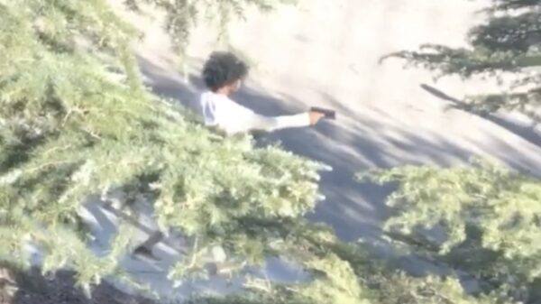 WTF: idioot beukt in op agente en pakt haar pistool om mee te schieten