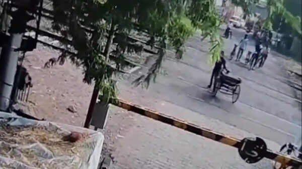 Indiër kan z'n riksja afschrijven nadat hij op een haar na een trein kopt