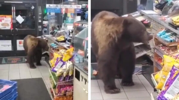 Goedemorgen: mag ik van u één Liga alstublieft?