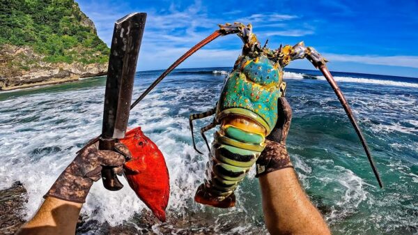 Survivallen op een tropisch paradijs is helemaal zo slecht nog niet