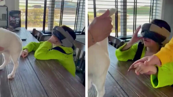 Ouders nemen kind in de maling waarna hij gillend de kamer uit rent