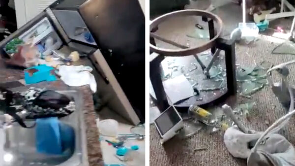 Zoon gaat compleet door het lint en sloopt het huis van zijn moeder