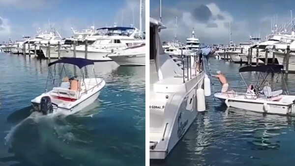 Incompetent stelletje heeft de nodige moeite om de haven te verlaten in gehuurd bootje