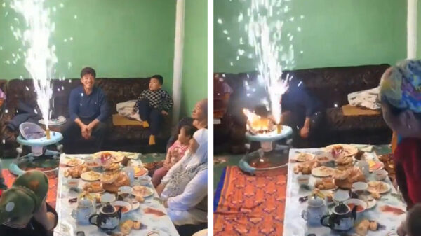 Uhm, het is maar goed dat je daar net je koter uit hebt gehaald