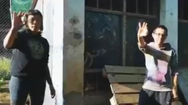 Vegan-activisten scheiden kippen van hanen zodat "kippen niet meer zonder toestemming verkracht worden"