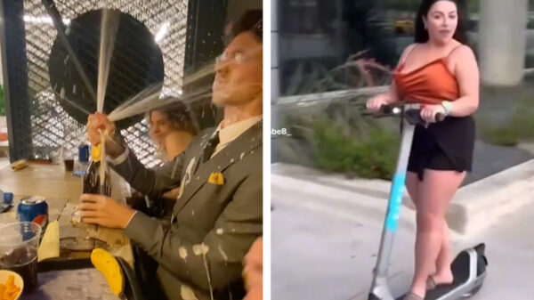 31 falende wezens die het verdienden om in deze heerlijke failcompilatie te komen