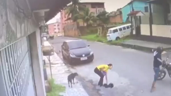 Overvaller leert door ongelooflijk slechte timing moedertje Karma kennen