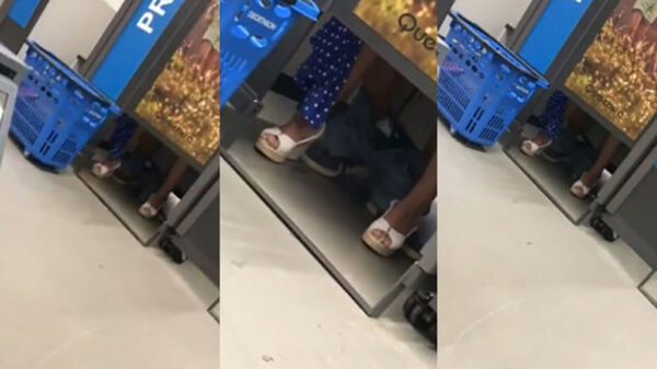 Stelletje in krap pashokje checkt de nieuwste herfstcollectie