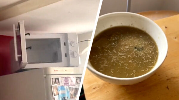 Tip van de dag: laat je soep niet een week in je magnetron staan