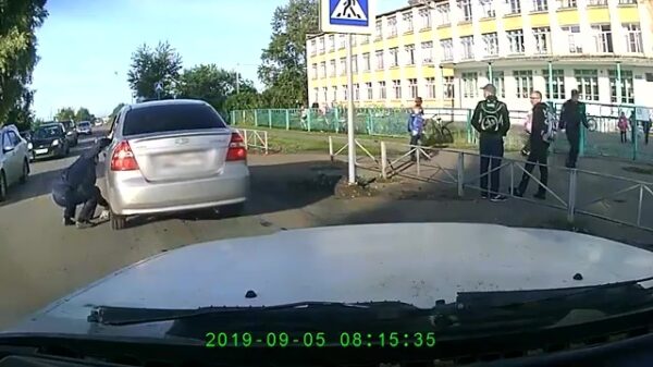 Held van de dag redt een poesje