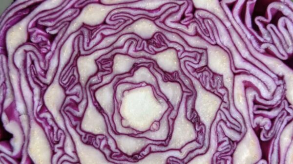 36 voorbeelden van heerlijk OCD-perfectionisme, omdat het zondag is