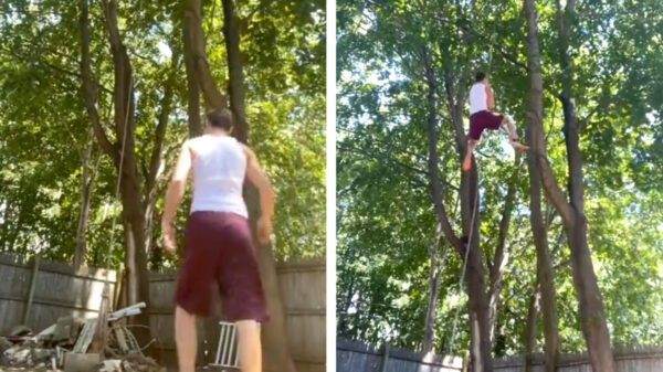 Note to self: de volgende keer toch echt een dikker touw gebruiken