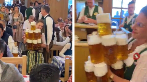 Aan de kant, de bierkoerier is hier!