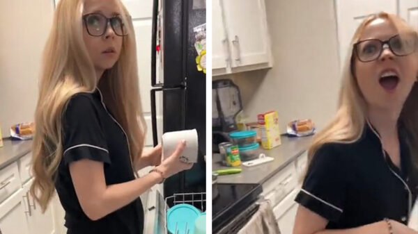 Schat, de vaatwasser is weer kapot