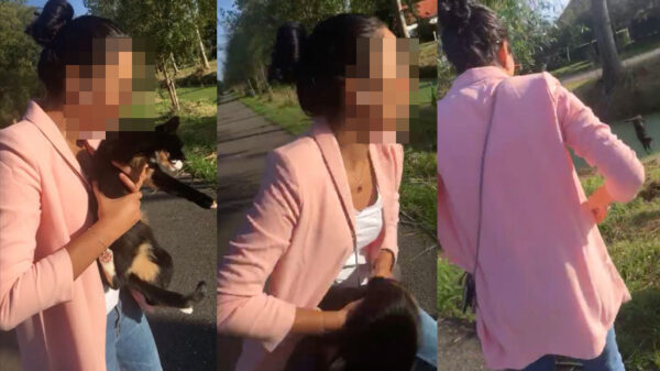 Gestoorde troela gooit voor de grap een schattig poesje in de sloot