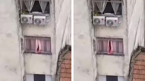 Verdomme, alles doet me nog steeds aan haar denken