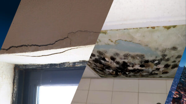 Studenten in de Haagse flat De Pionier leven tussen de bedwantsen, schimmels en ratten