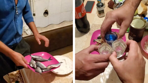 Rus bewijst dat echt iedereen een lekkere maaltijd op tafel kan zetten