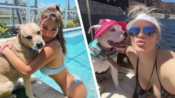 Dierendag 2022 vieren we met een overload puppies en hun schattige baasjes