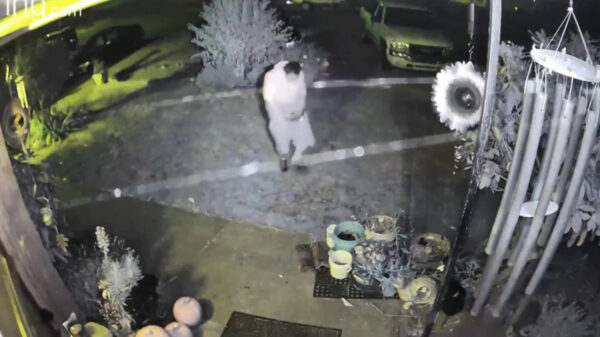 Ongelooflijke prutser weet zichzelf in zijn bal en in zijn hond te schieten