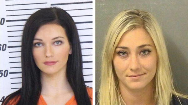 Deze 15 opgepakte criminelen kunnen na hun straf zo een modellencarrière beginnen