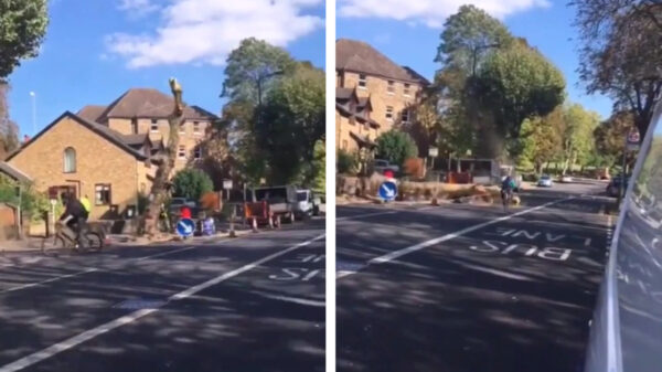 Fietser ontkomt op het nippertje aan verplettering door omgezaagde boom