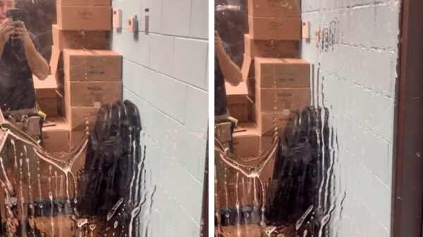 Heb je ooit wel eens met de pesterijen van een zeemgeest te maken gehad?