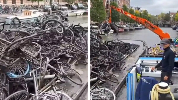 Dagje vissen in Amsterdam levert een bizarre hoeveelheid oud ijzer op