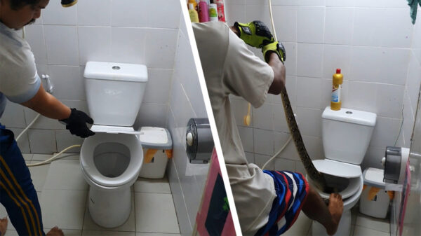 Een boodschap waar je niet op zit te wachten tijdens je toiletbezoek