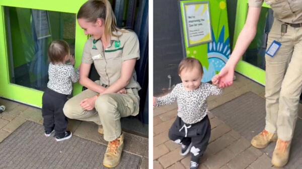 Heerlijk pientere koter is medewerkster dierentuin te slim af