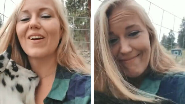 Het leven op een boerderij is elke dag weer een verrassing