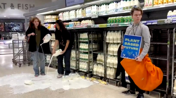 Activisten van 'Animal Rebellion' dumpen liters koeienmelk in een Schotse supermarkt