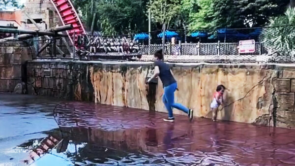 En de award voor moeder van het jaar gaat dit jaar gegarandeerd niet naar...