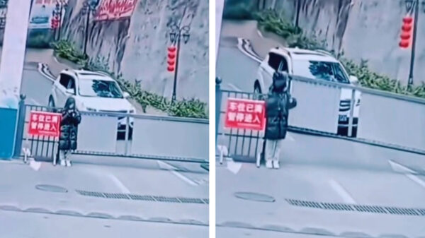 Deze jassenroof zag ze echt niet aankomen