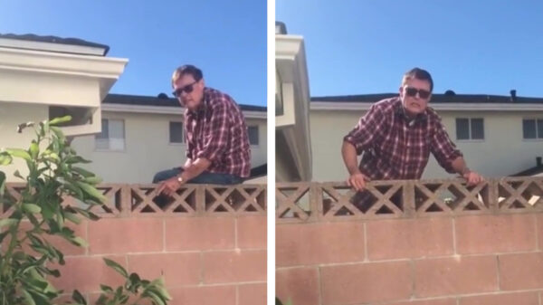 Buurvrouw Diane bleek bij nader inzien compleet krankzinnig te zijn