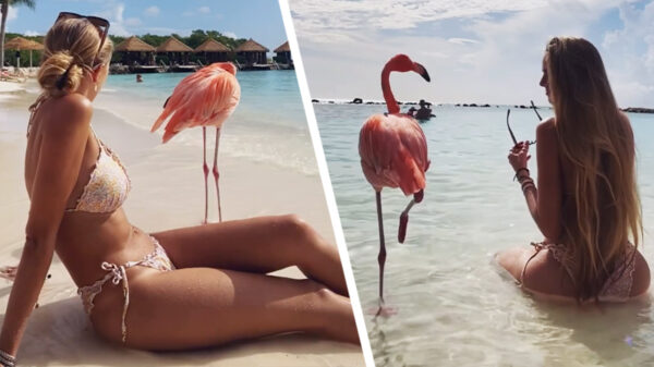 Lies Zhara maakt roze vrienden tijdens ontspannen vakantie op Aruba