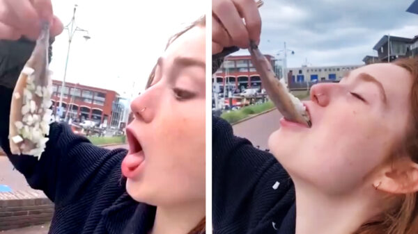 Ouderwets genieten van een heerlijk vers Hollands harinkje