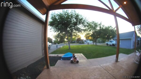 Koter vlamt met hoge snelheid quad in greppel