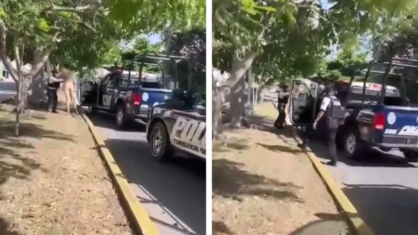 Ongecensureerde versie van het nummer 'Bitter Sweet Symphony' gelekt