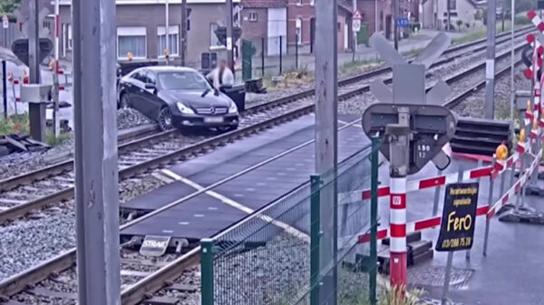 Het bewijs dat sommige mensen hun rijbewijs echt bij een pak koekjes hebben gekregen