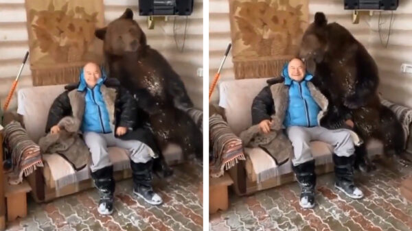 Ondertussen in Rusland: lekker chillen met je behaarde kameraadski