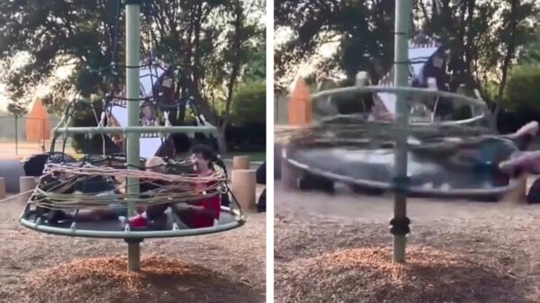 Waarom vrouwen langer leven: de middelpuntzoekende kracht-editie