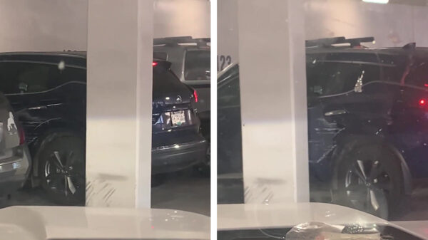 Waarom je nooit je vrouw moet laten uitparkeren