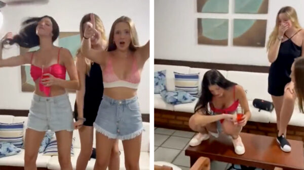 Place your bets: draaiende ventilator vs TikTok-professionals