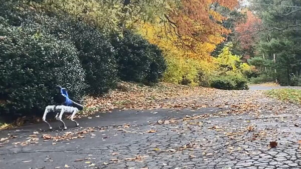 Waarom je thuis ook een Spot robothond wil hebben